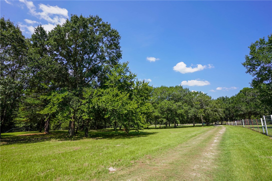 2092 Farm To Market 1486 Anderson, TX 77830 - Photo 38 of 42 a view of a golf course with a trees