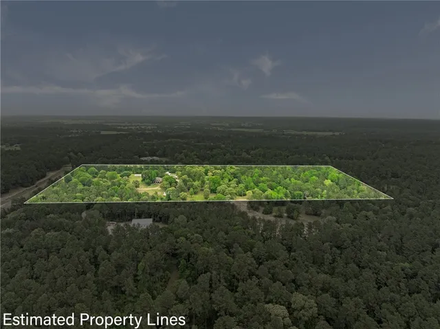 a view of ocean from a yard