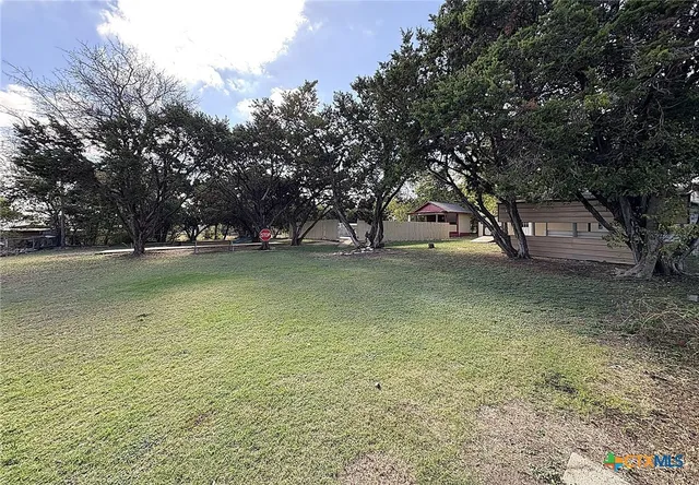 a view of a tree in front of a house with a yard