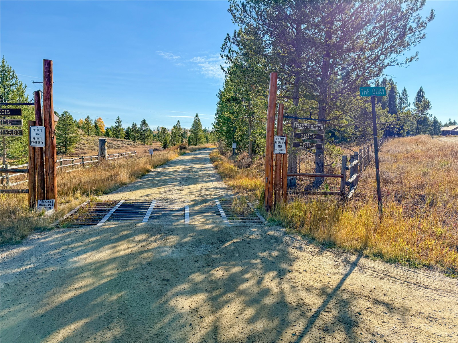 23750 The Quay Clark, CO 80428 - Photo 11 of 26 a view of yard