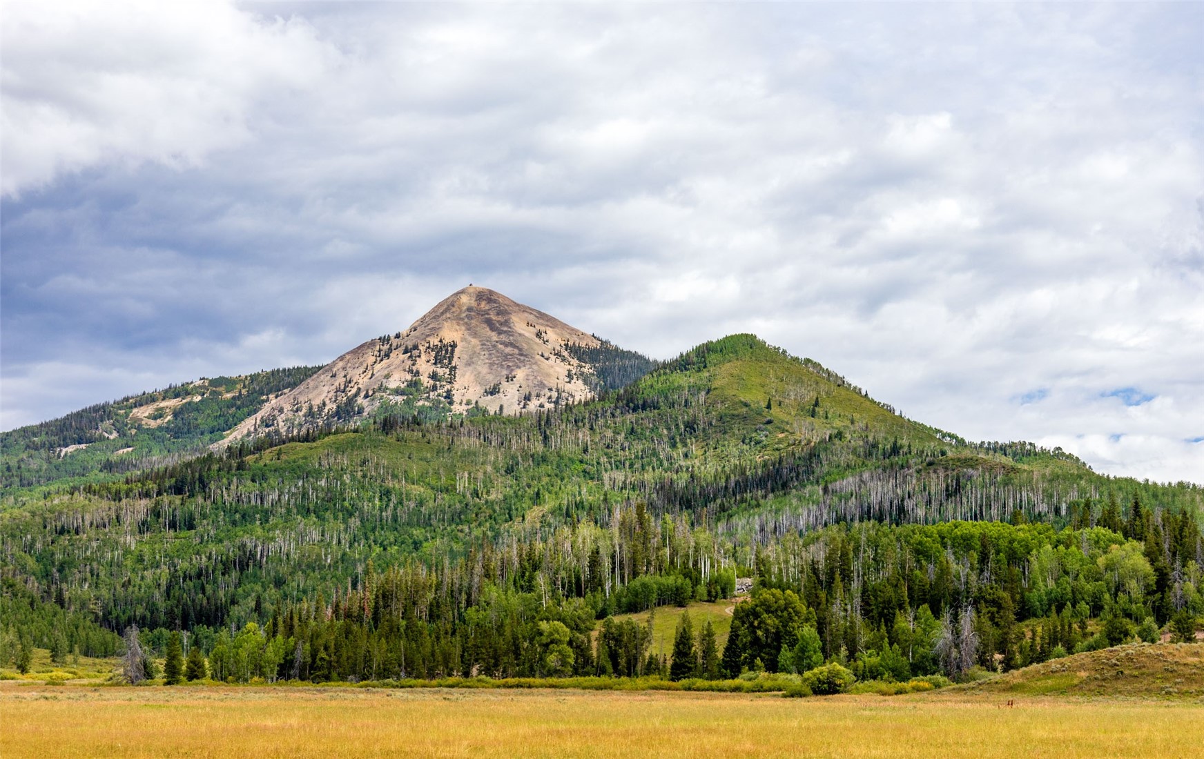 23750 The Quay Clark, CO 80428 - Photo 26 of 26 a view of a garden with mountains