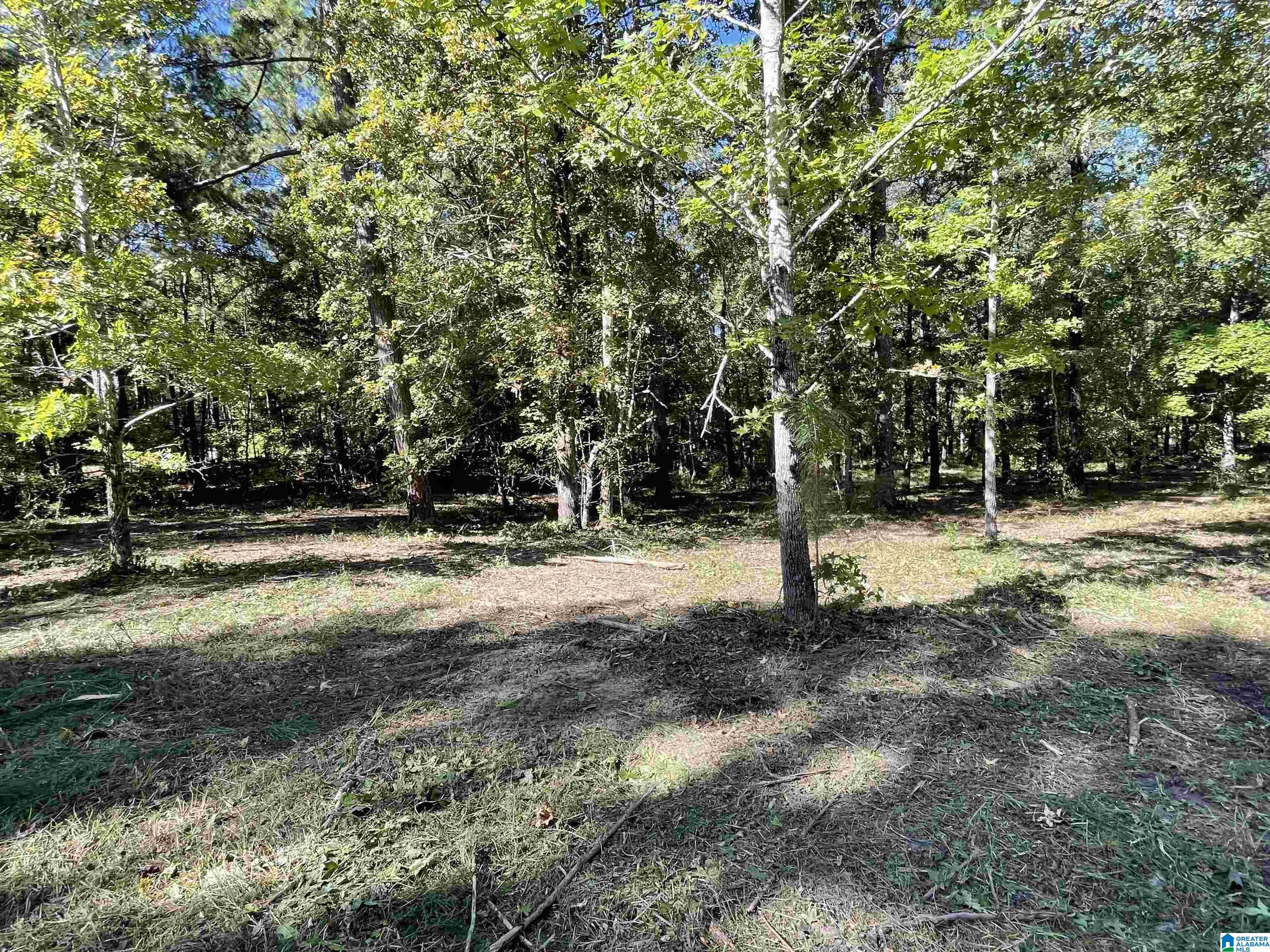 0 Paradise Point Drive Columbiana, AL 35051 - Photo 3 of 23