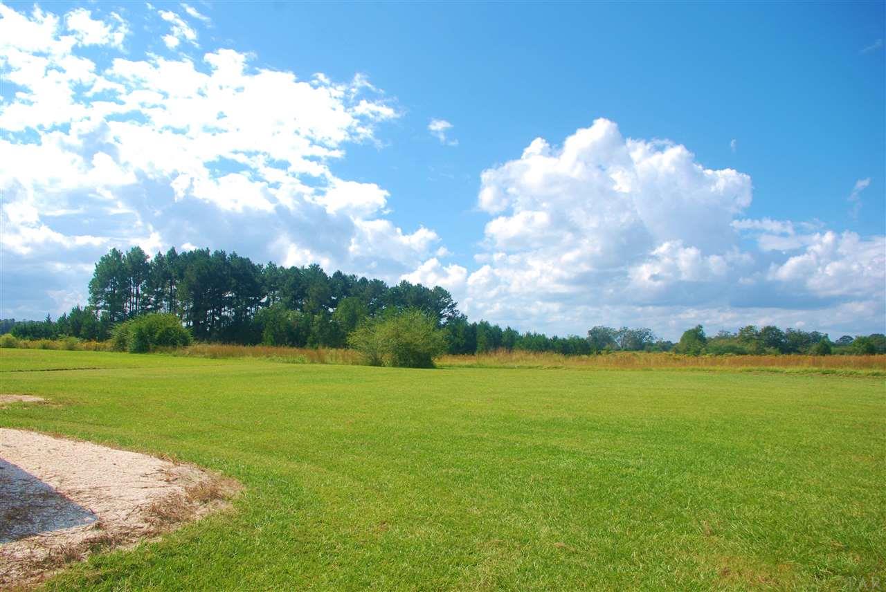 2919 Ross Road Atmore, AL 36502 - Photo 10 of 48