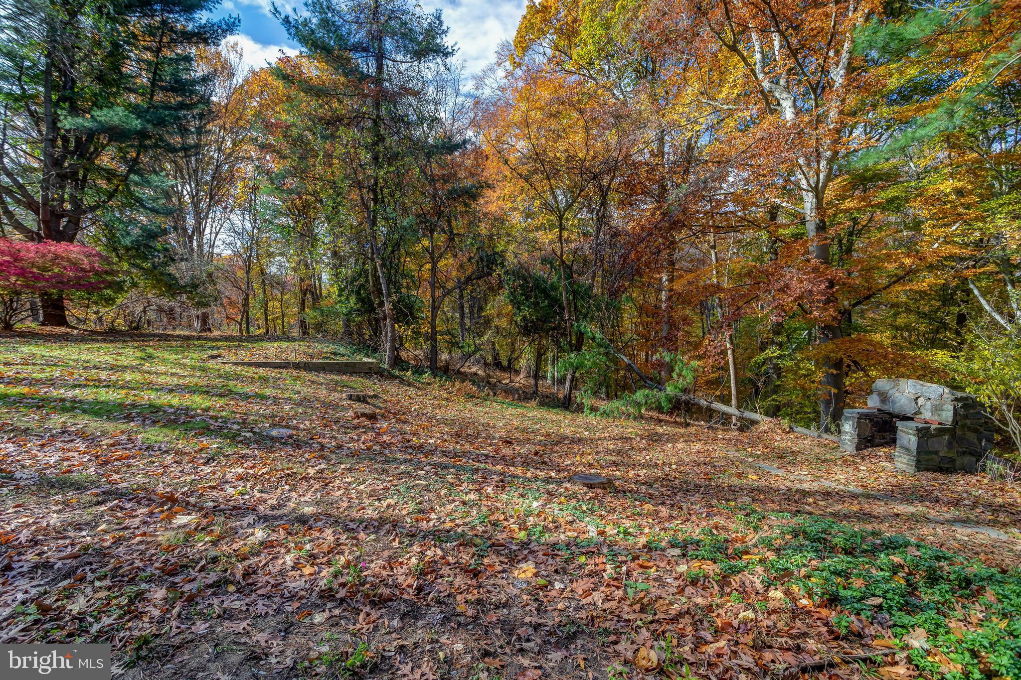 728 Winchester Road Media, PA 19063 - Photo 49 of 50 Gallery Image 49