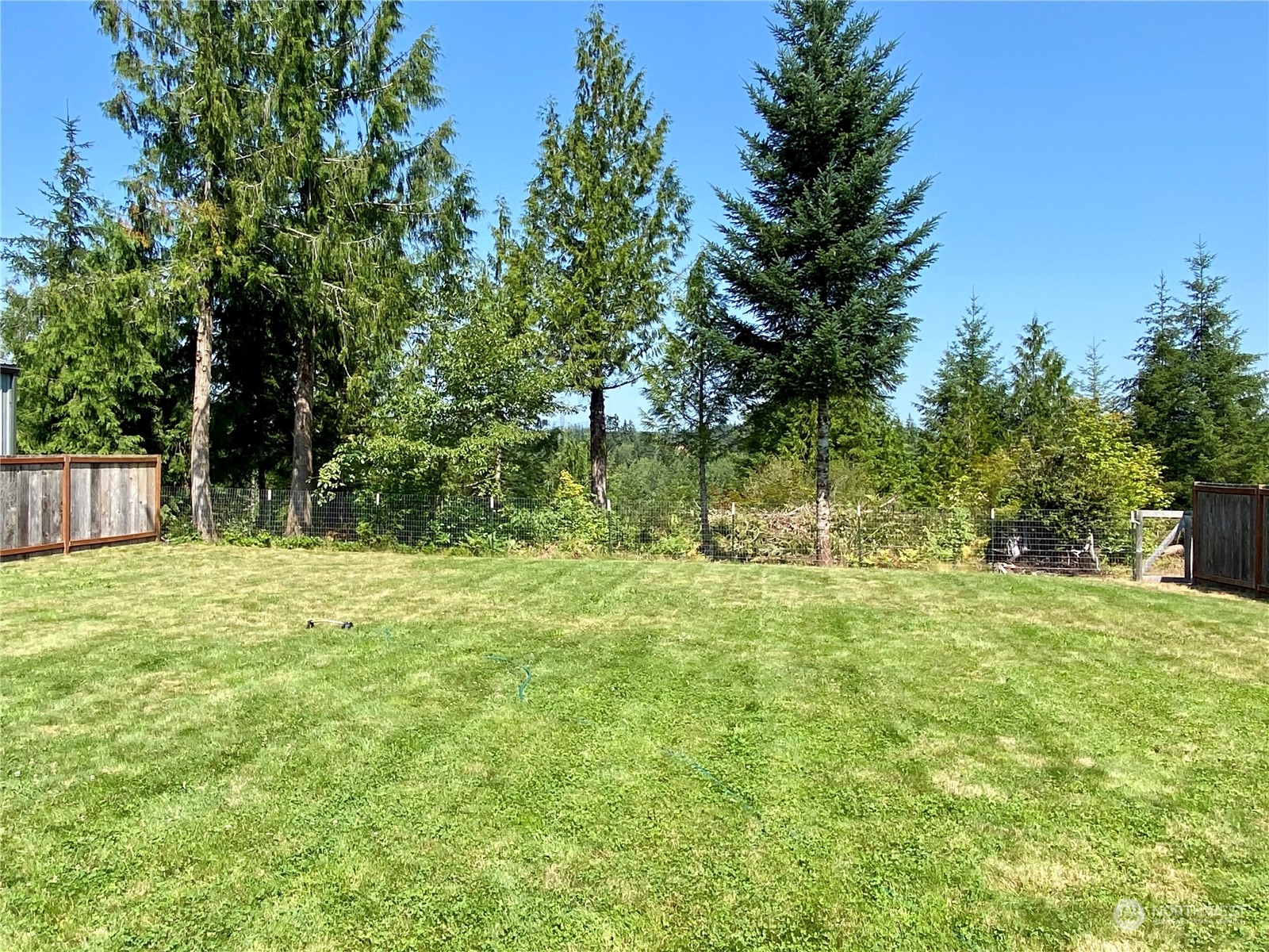 261 West Berry Ridge Road Shelton, WA 98584 - Photo 23 of 32 Gallery Image 23