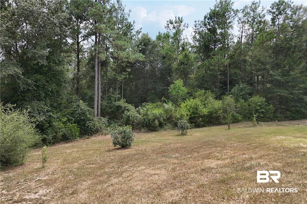 7930 D Chunchula Georgetown Road Chunchula, AL 36521 - Photo 44 of 63 Gallery Image 44