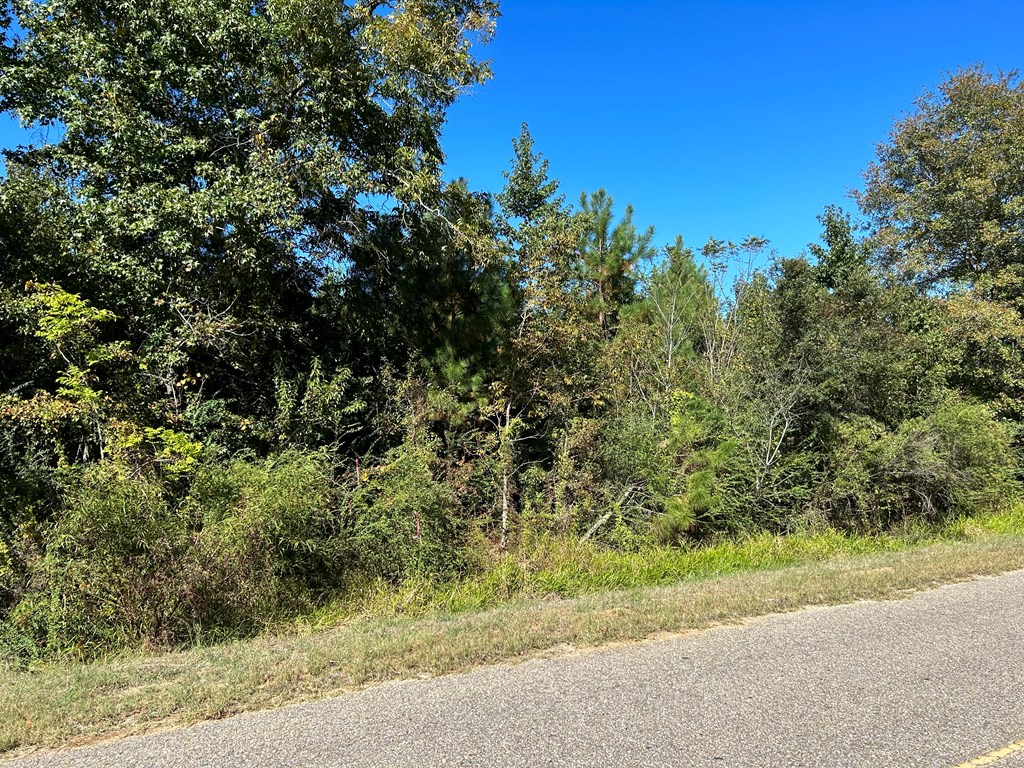 5-ac 5-ac Road Cottonwood, AL 36320 - Photo 2 of 23