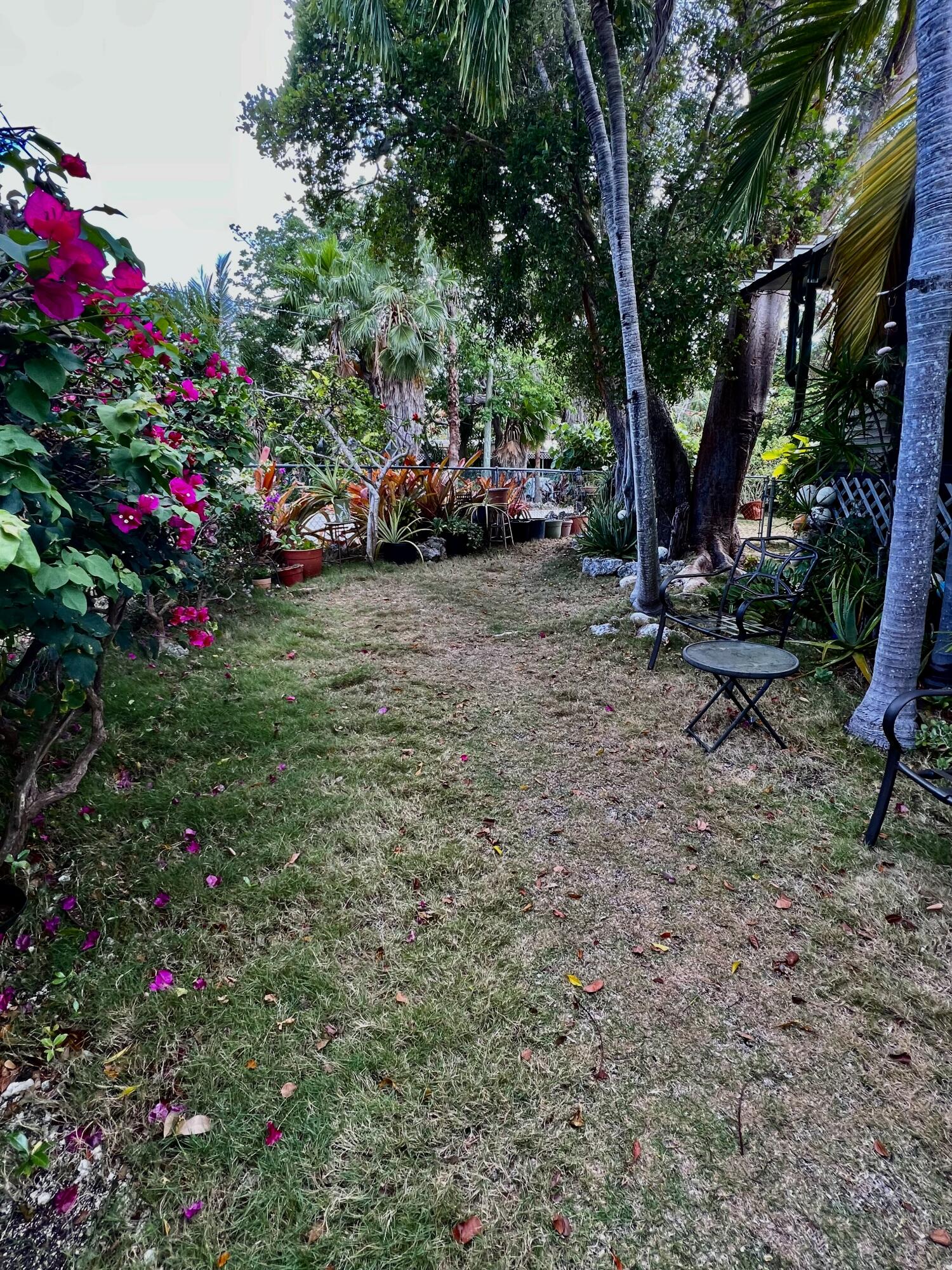 702 Largo Road Key Largo, FL 33037 - Photo 19 of 19 a view of a flower in a yard with potted plants