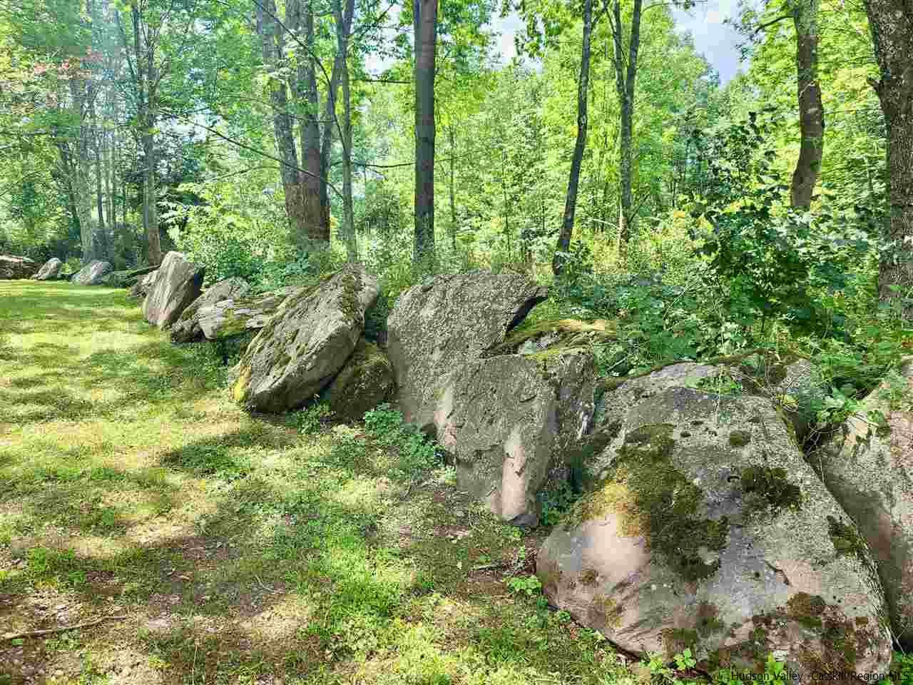 4561 Vega Mountain Road Roxbury, NY 12421 - Photo 24 of 32 Photo 24