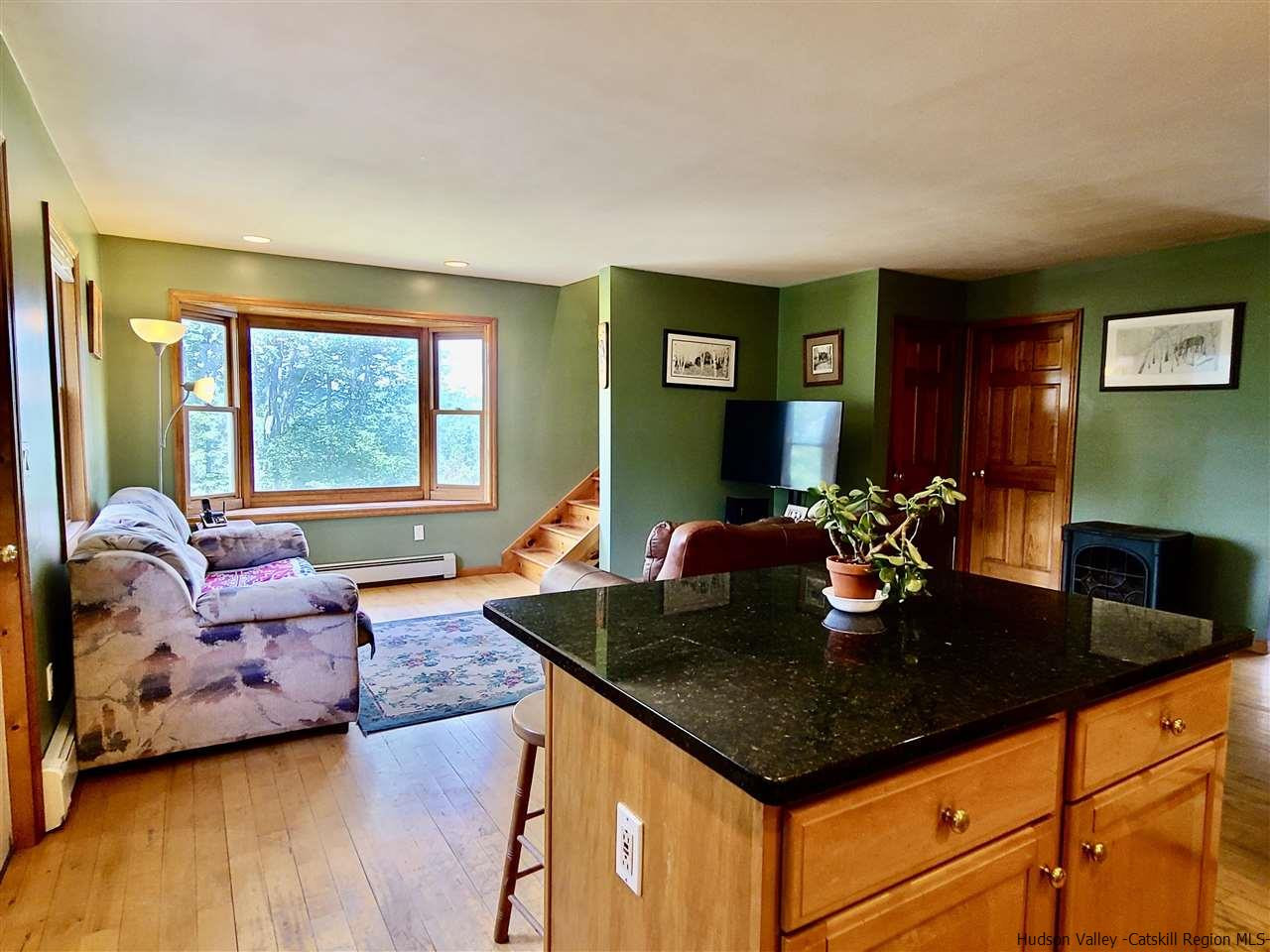 4561 Vega Mountain Road Roxbury, NY 12421 - Photo 6 of 32 Photo 6