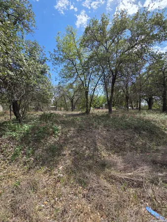 a view of dirt yard with green space