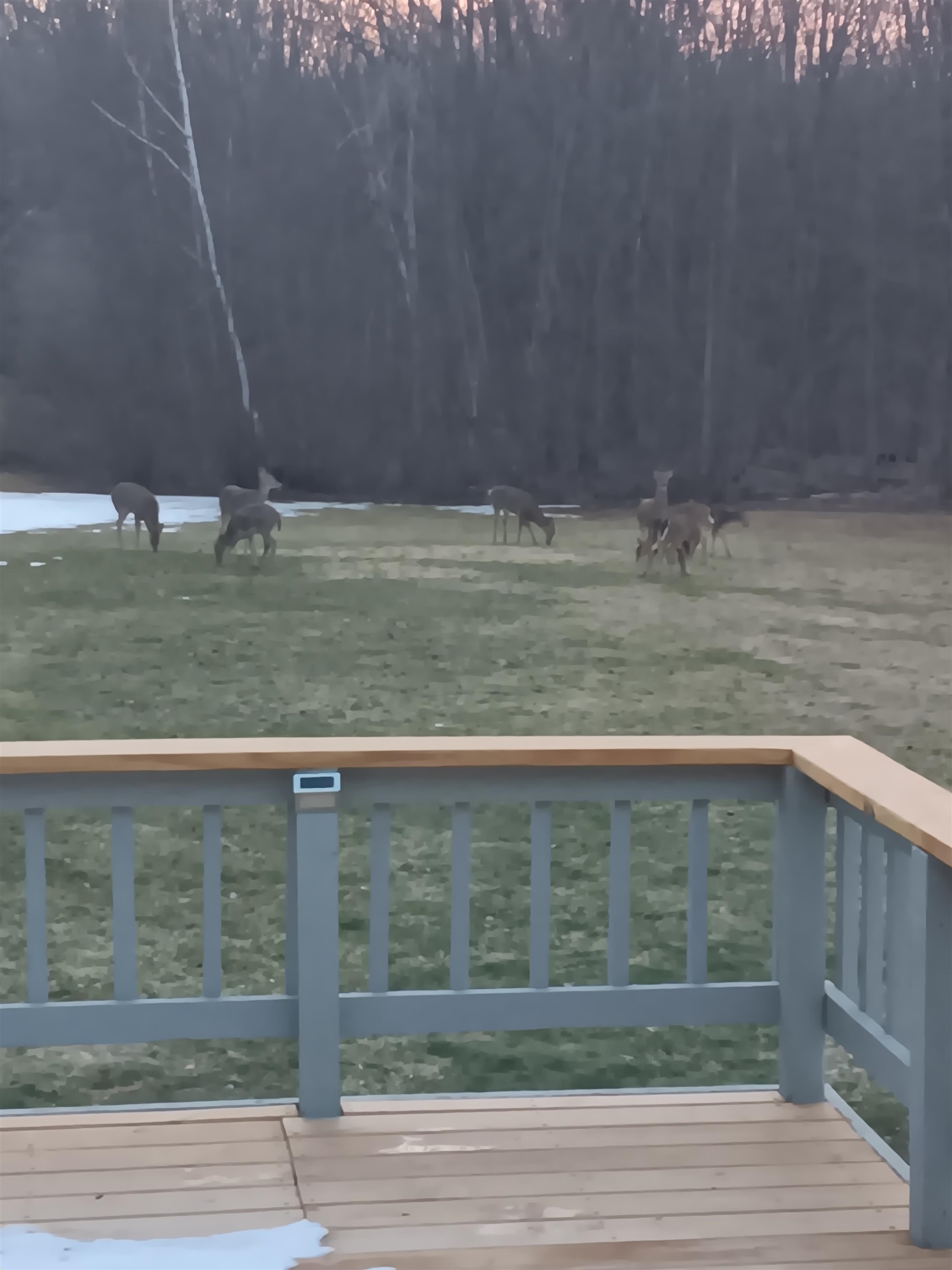 14325 North Lewis Road Clio, MI 48420 - Photo 67 of 74 50171949-a08dd2e2-913e-4ec8-93fd-d80d37f17477.JPG