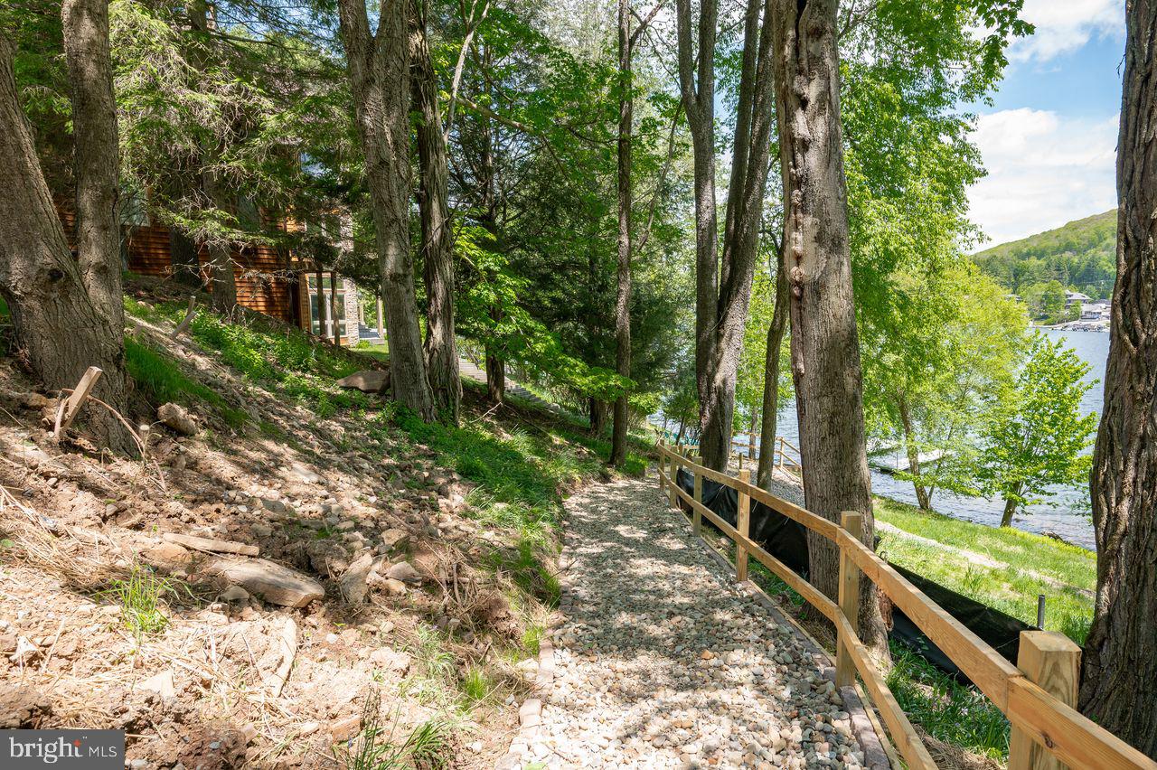 1475 Marsh Hill Road McHenry, MD 21541 - Photo 46 of 60