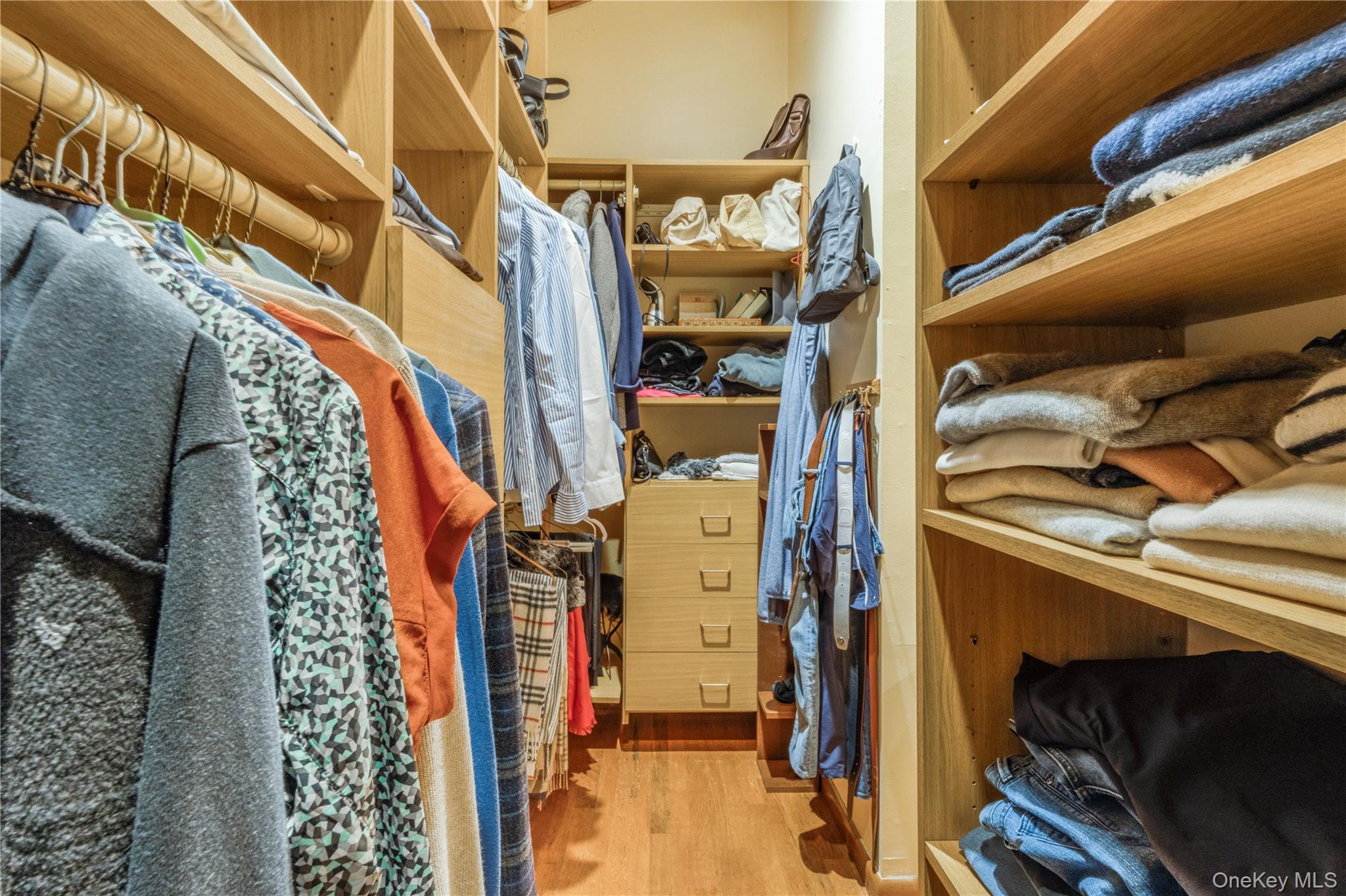 78 Joyce Road Plainview, NY 11803 - Photo 16 of 23 a view of walk in closet with clothes and shoes