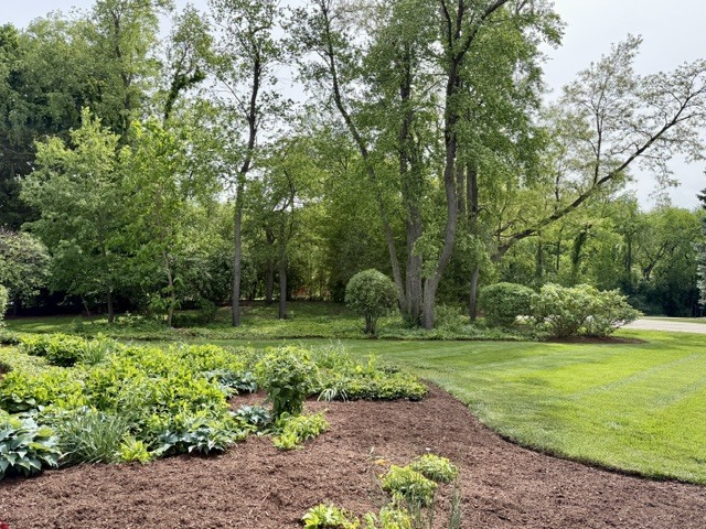 11-n071 Johnstoun Road Elgin, IL 60124 - Photo 89 of 90