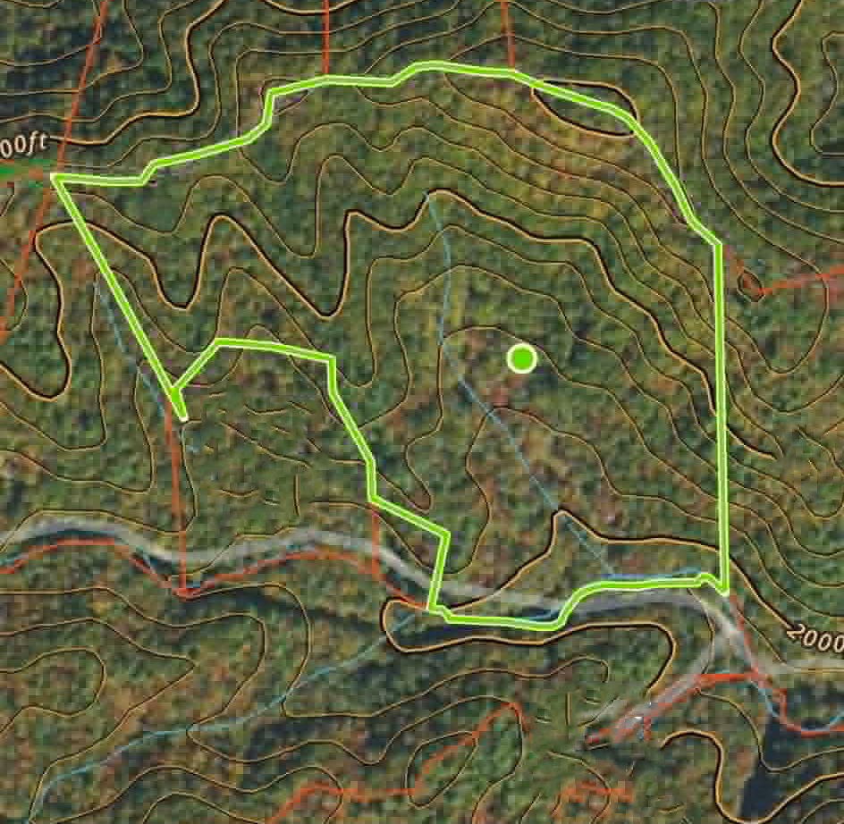 1070 Morgan Creek Road Marble, NC 28905 - Photo 23 of 40