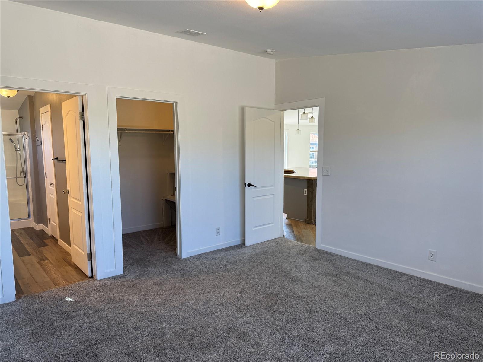 620 Falling Rock Road Cotopaxi, CO 81223 - Photo 15 of 32 an empty room with closet and wooden door