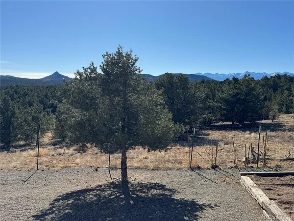a view of a yard with a tree
