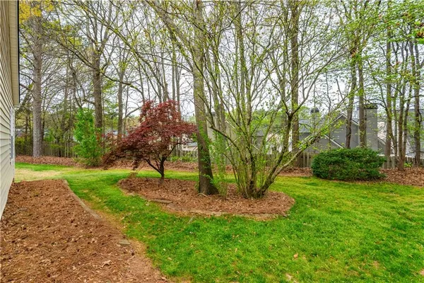 a view of a backyard with large trees