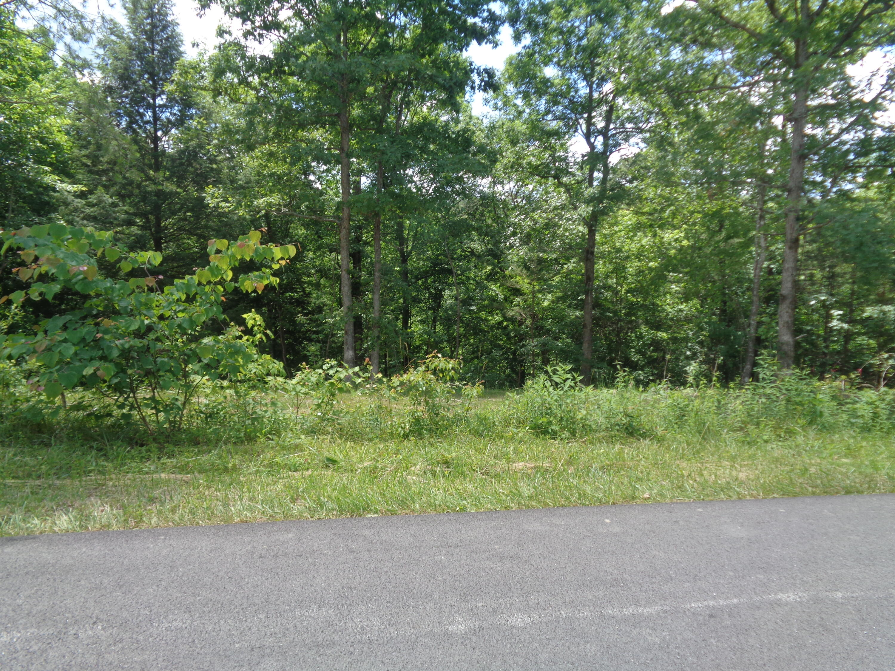 Lot 6 Fount Hubbard Road London, KY 40741 - Photo 17 of 24 DSC04859