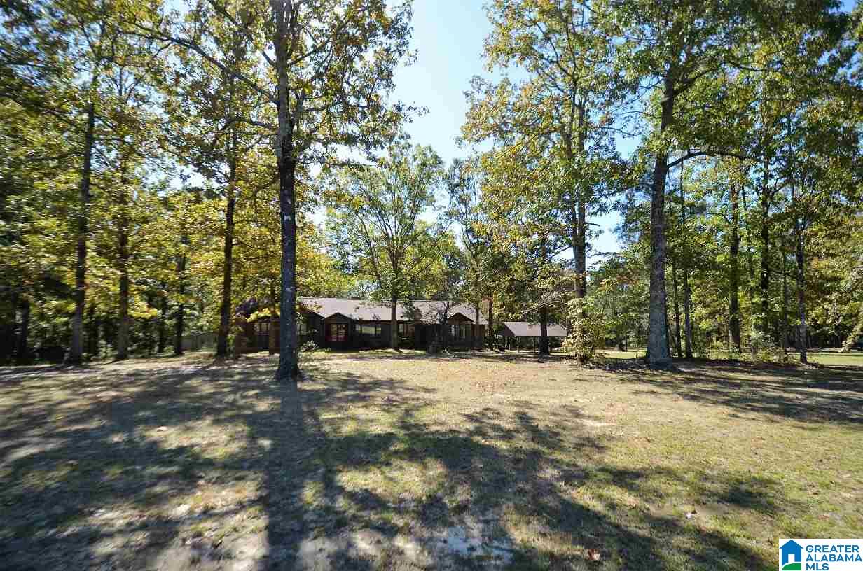 1351 Poplar Springs Road Clanton, AL 35046 - Photo 34 of 50
