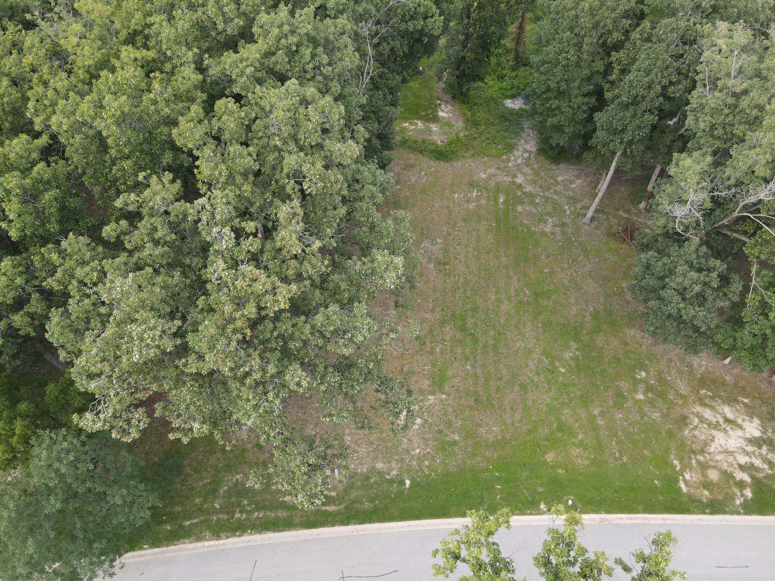 731 Druim Trail Crown Point, IN 46307 - Photo 4 of 10 a view of a yard