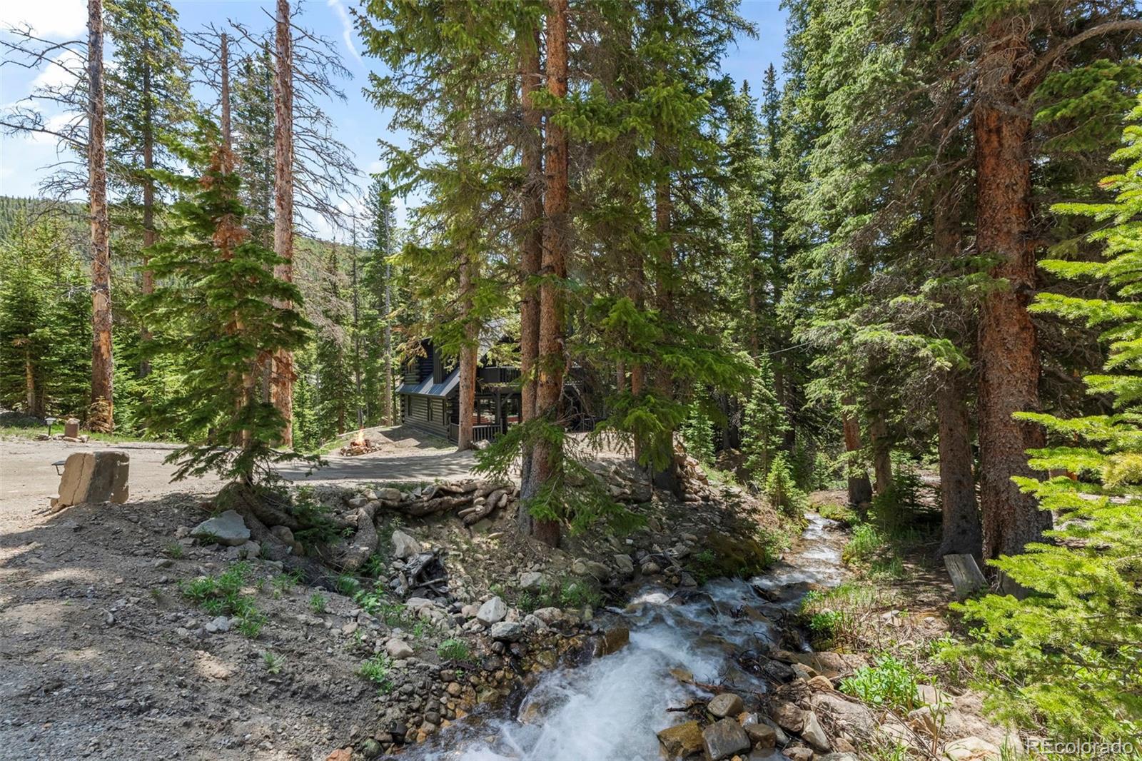 46 Silver Creek Road Idaho Springs, CO 80452 - Photo 3 of 41