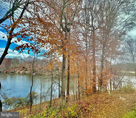 a view of a patio with table and chairs and potted plants