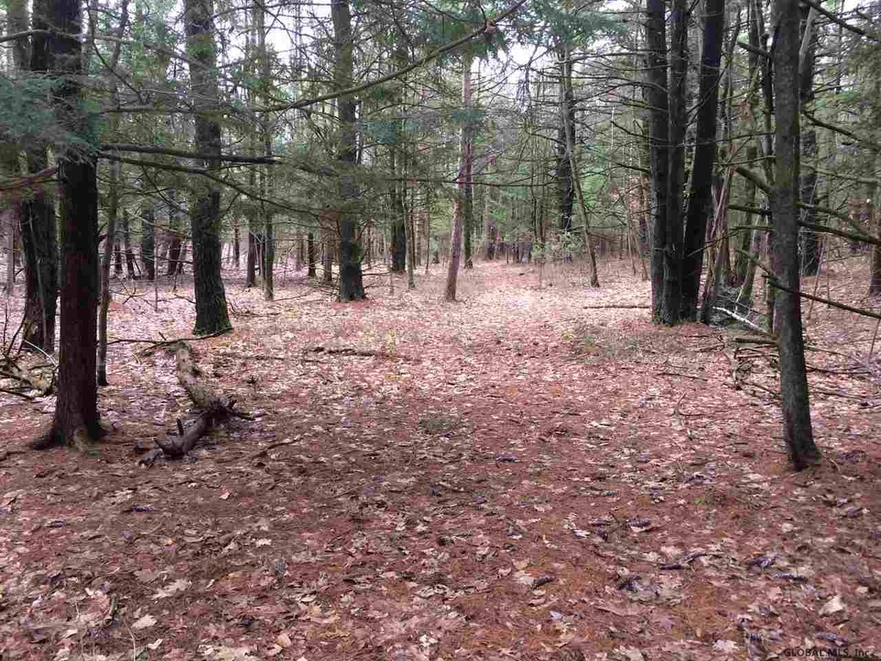 80 Mueller Road Alcove, NY 12007 - Photo 11 of 12 Photo 11