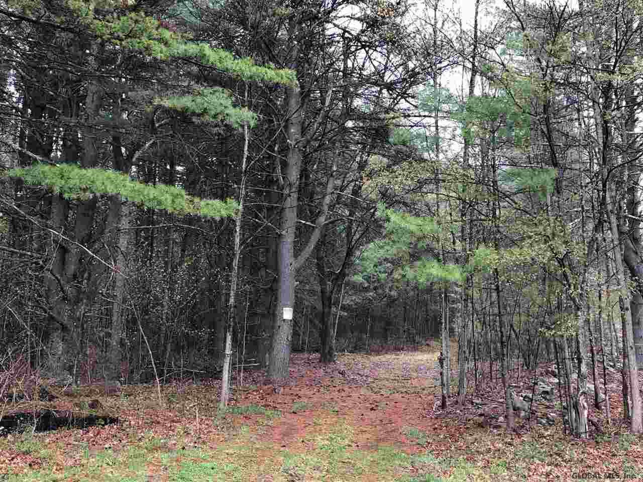 80 Mueller Road Alcove, NY 12007 - Photo 3 of 12 Photo 3