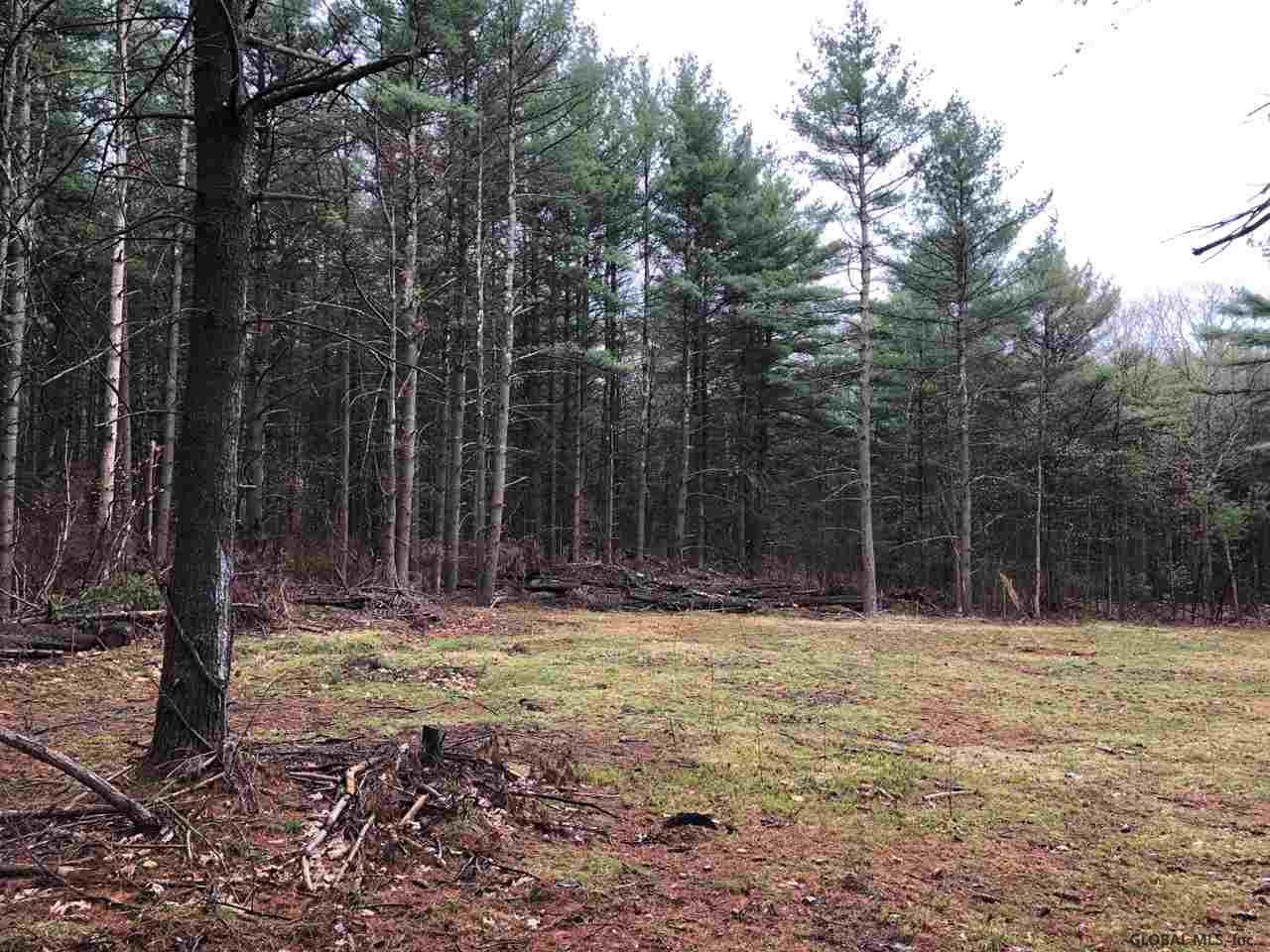 80 Mueller Road Alcove, NY 12007 - Photo 5 of 12 Photo 5