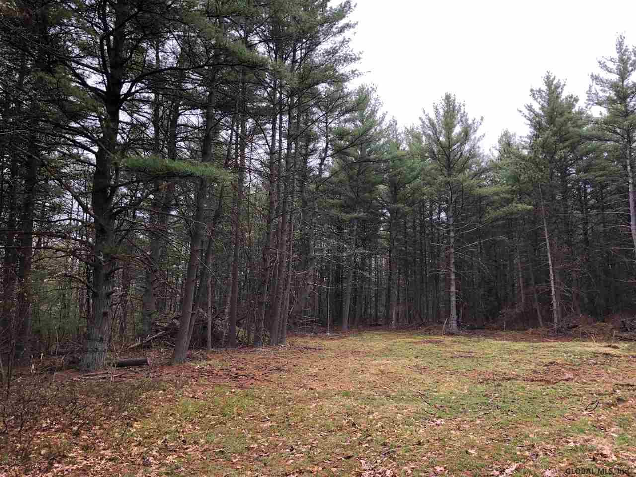 80 Mueller Road Alcove, NY 12007 - Photo 6 of 12 Photo 6