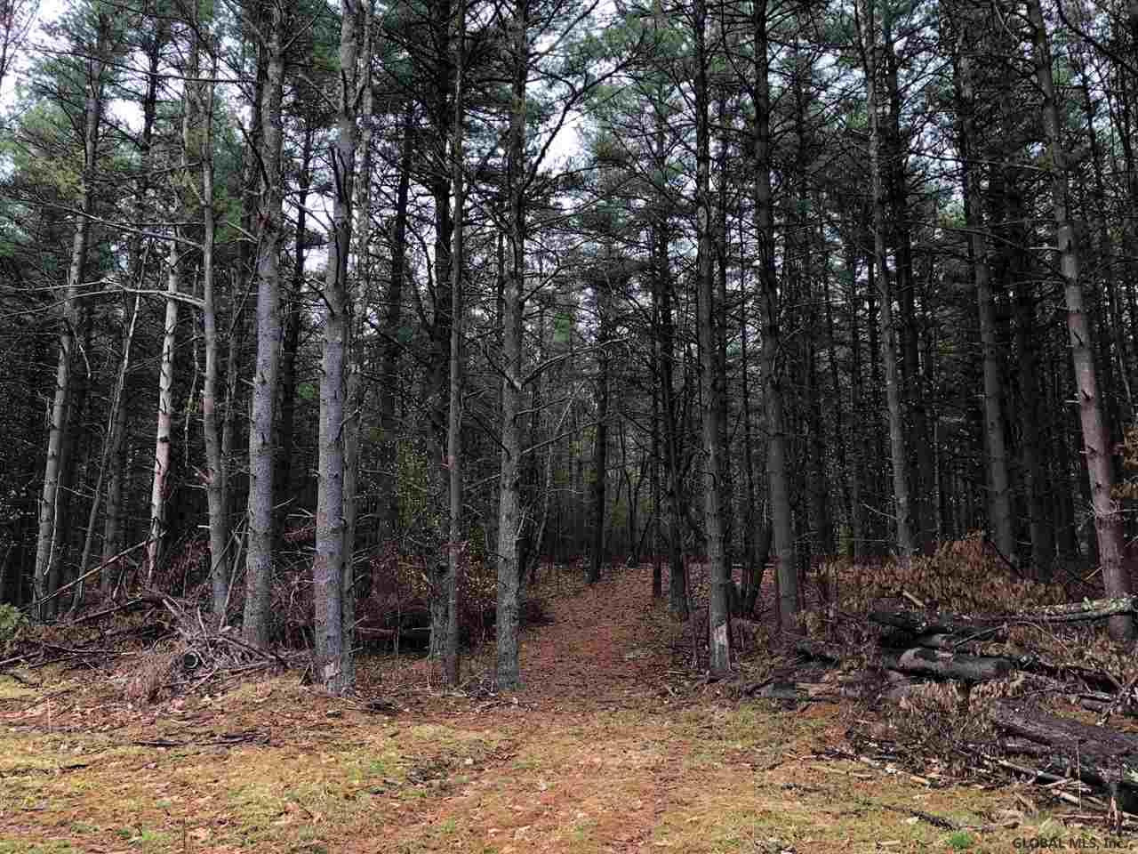 80 Mueller Road Alcove, NY 12007 - Photo 8 of 12 Photo 8