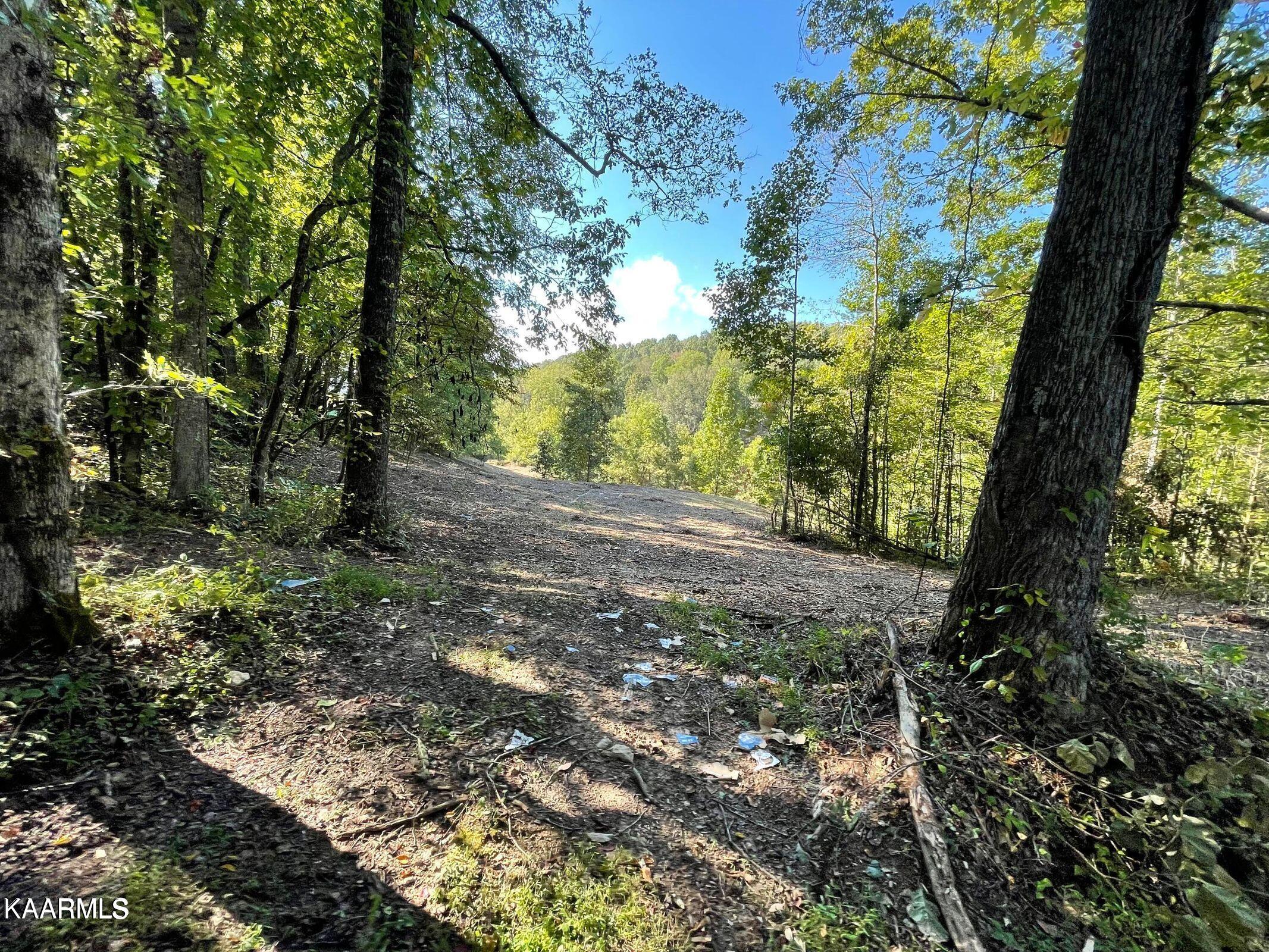 Earls Hollow Road Speedwell, TN 37870 - Photo 14 of 15 20211230222422777506000000-o
