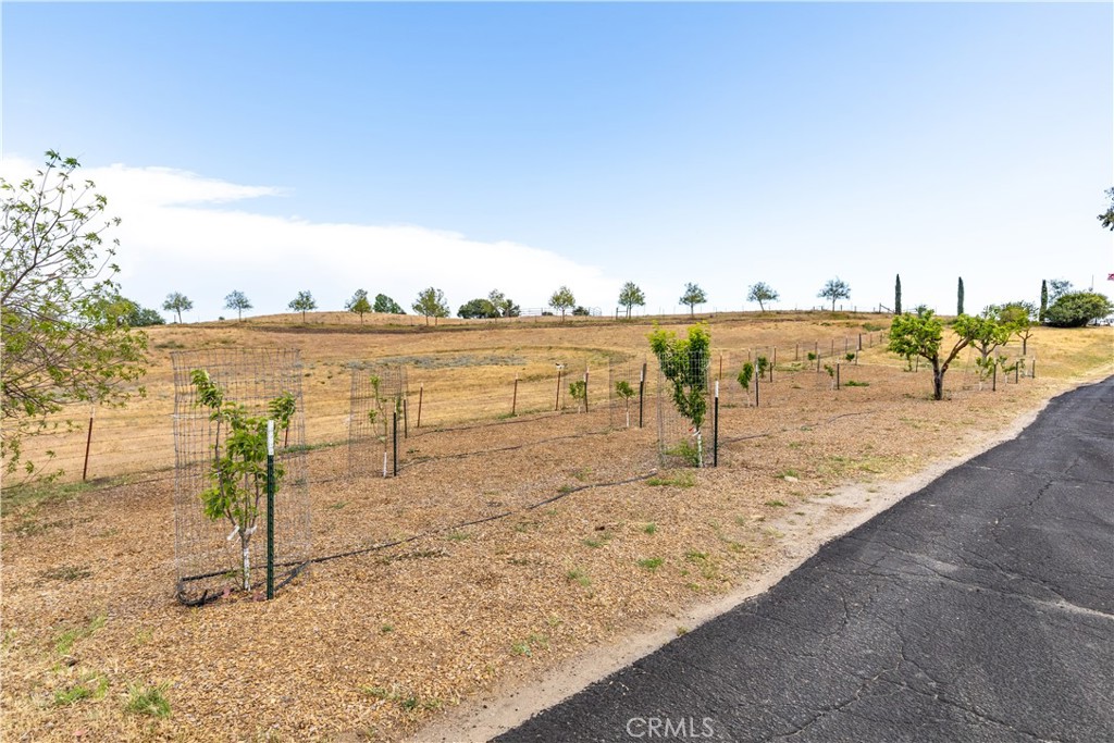 3150 Bluegrass Place Creston, CA 93432 - Photo 12 of 58 Fruit tree orchard