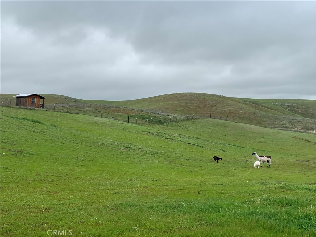 3150 Bluegrass Place Creston, CA 93432 - Photo 55 of 58 an aerial view of a houses with outdoor space and trees all around