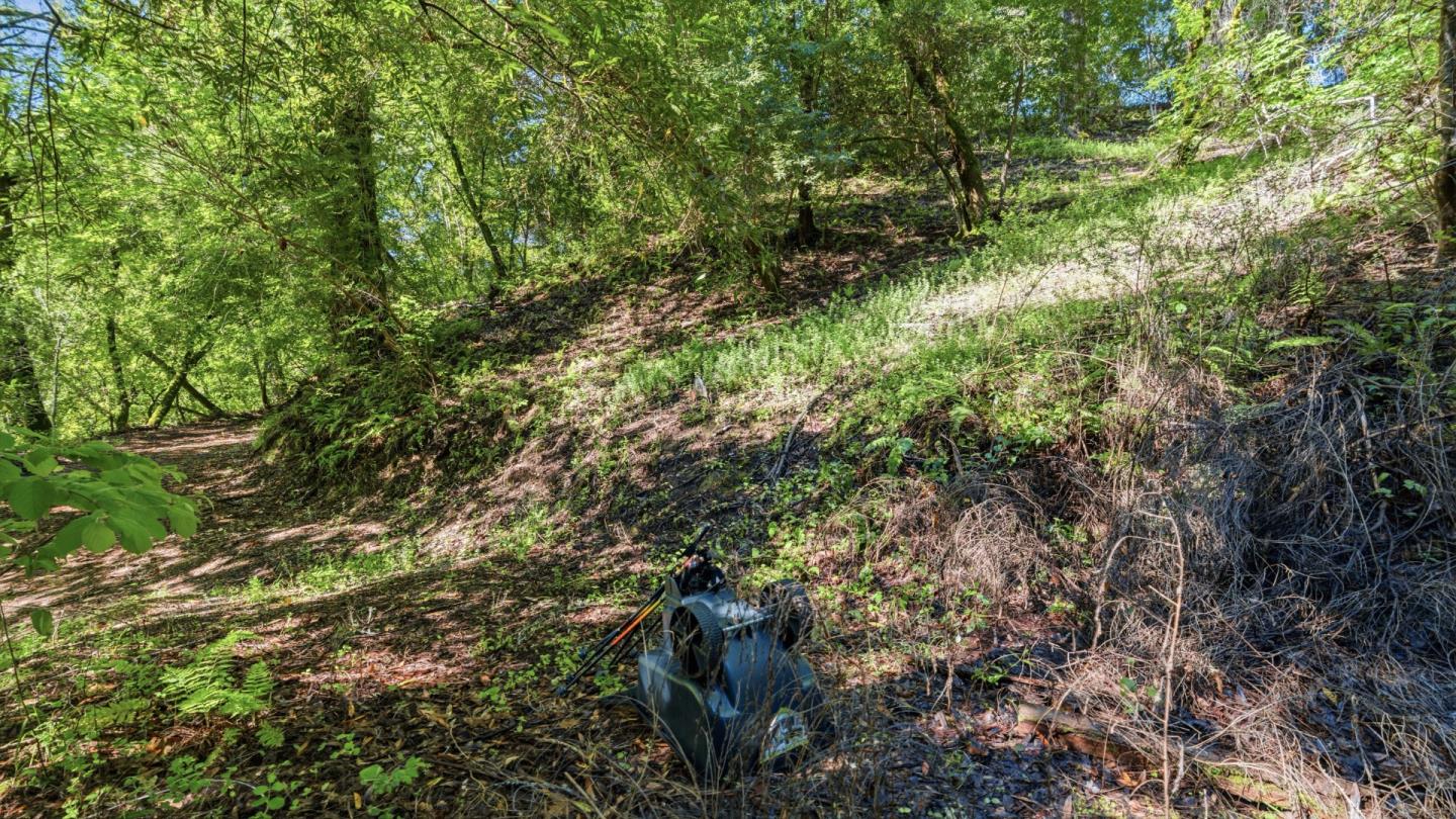 360 Rincon Way Boulder Creek, CA 95006 - Photo 21 of 46
