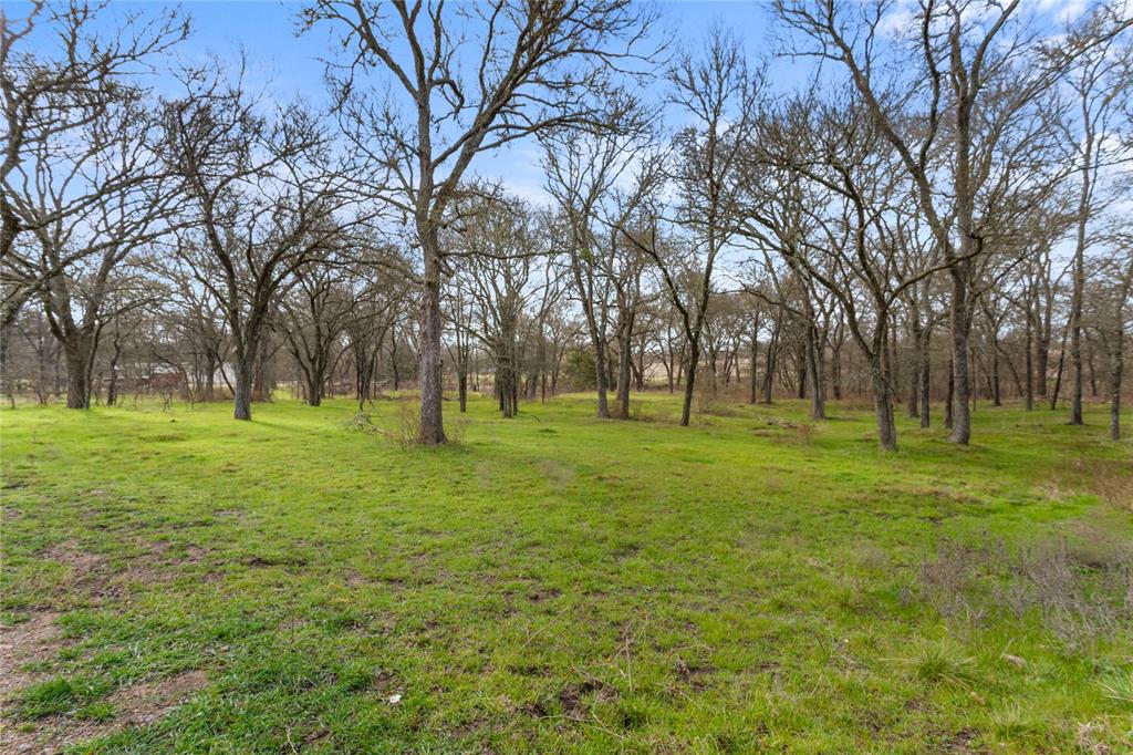 1447 Red Gate Road Mart, TX 76664 - Photo 15 of 38 a view of park with trees