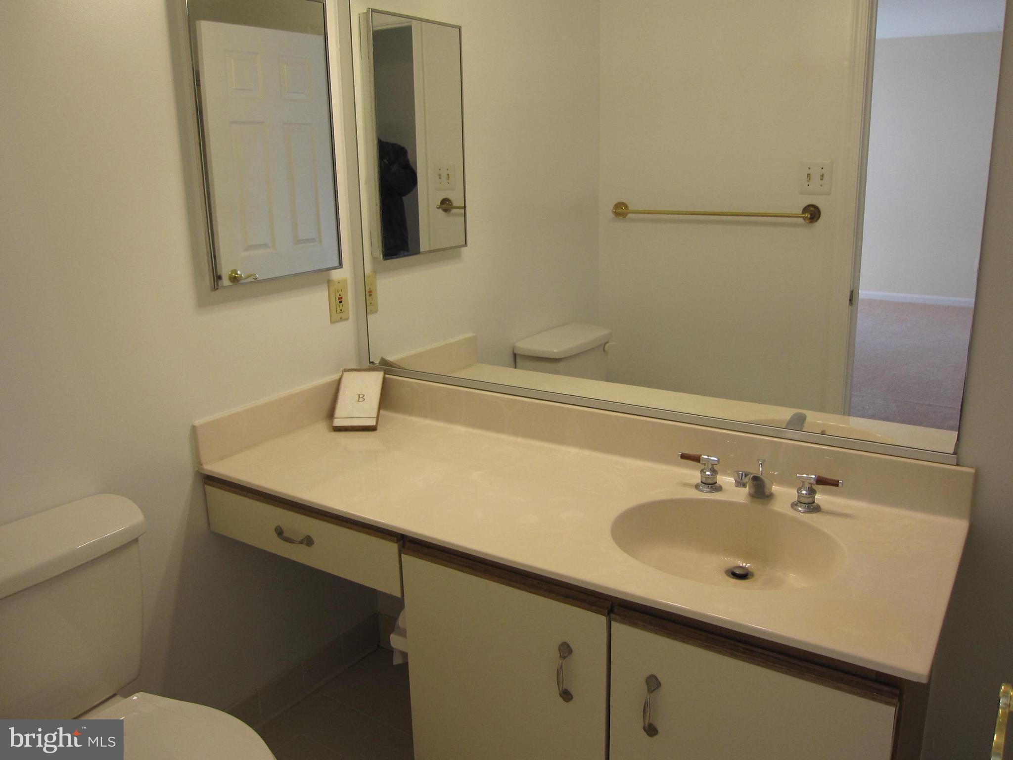 21 Rain Flower Path, Unit 103 Sparks, MD 21152 - Photo 27 of 27 Hall Bath