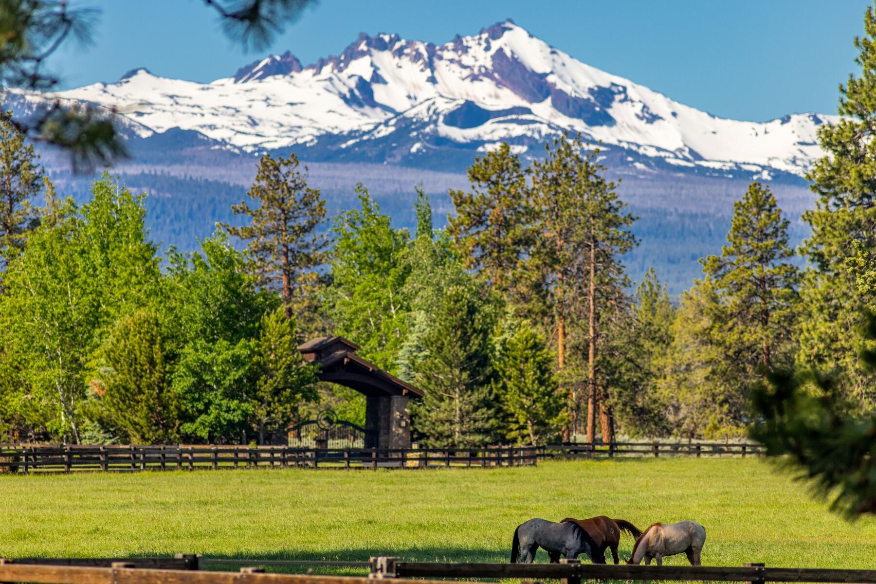 16400 Jordan Road Sisters, OR 97759 - Photo 81 of 101 Property, Pastures and Views