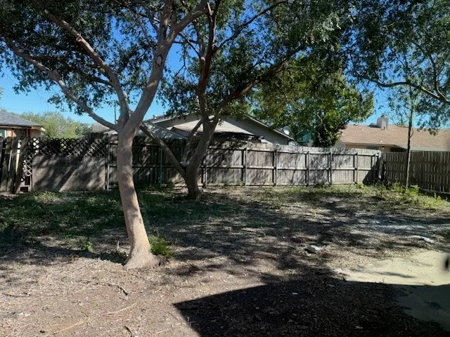 a view of a yard with plants and a large tree