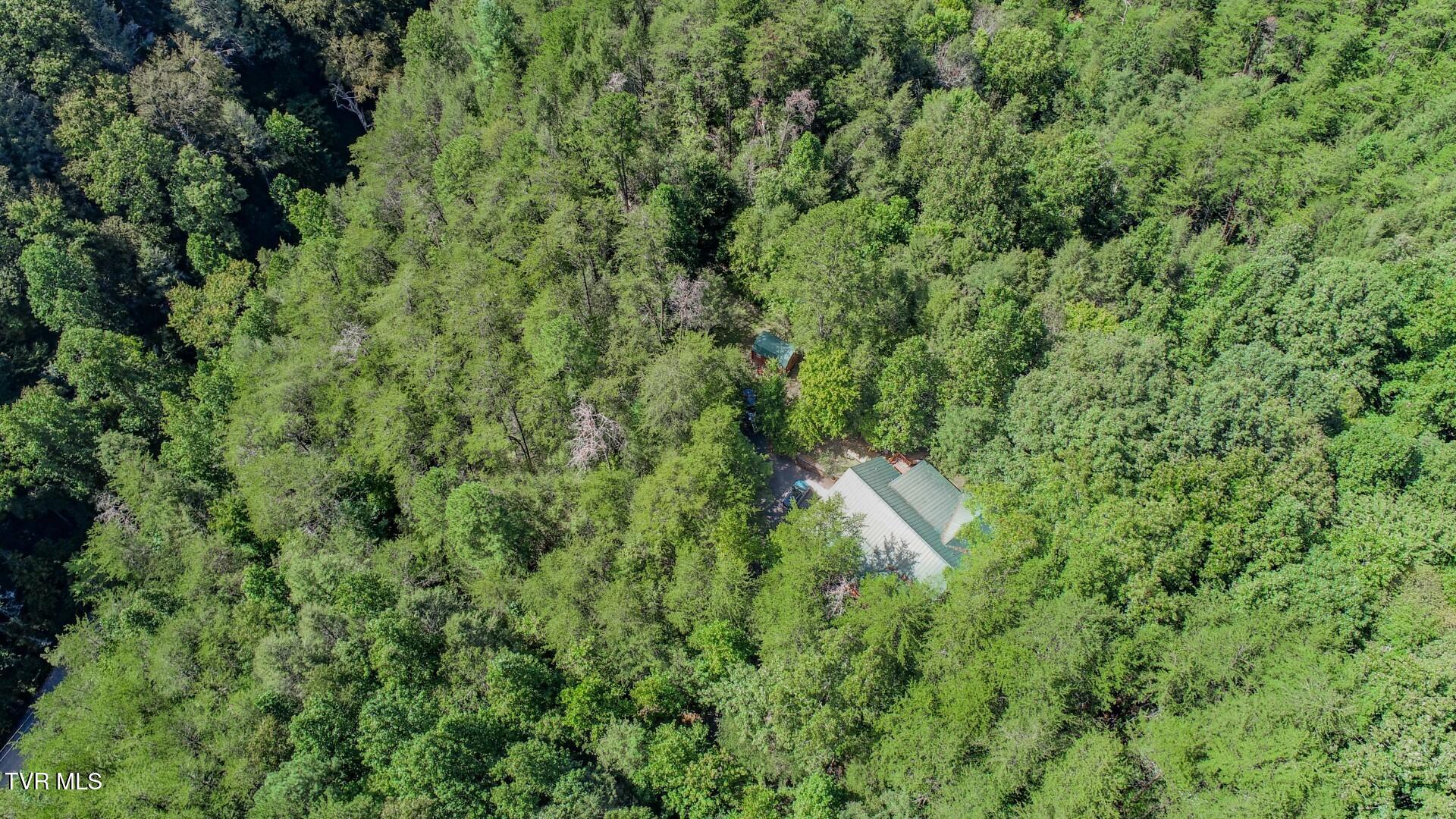360 County Square Road Newport, TN 37821 - Photo 54 of 60 47
