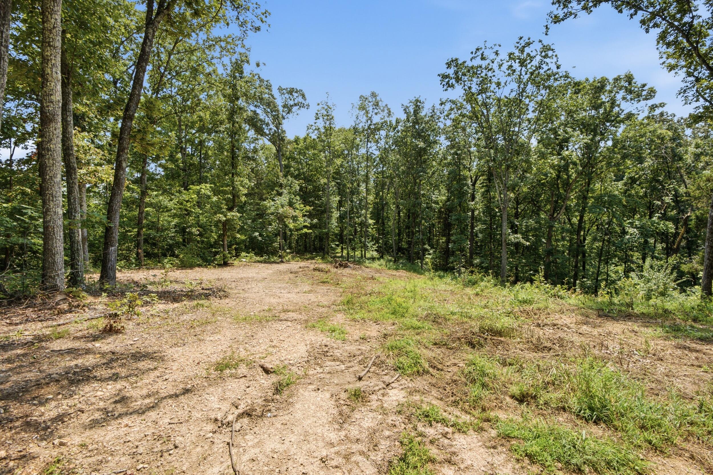 0 Pete Graham Road Jasper, TN 37347 - Photo 14 of 23 014_dsc07500