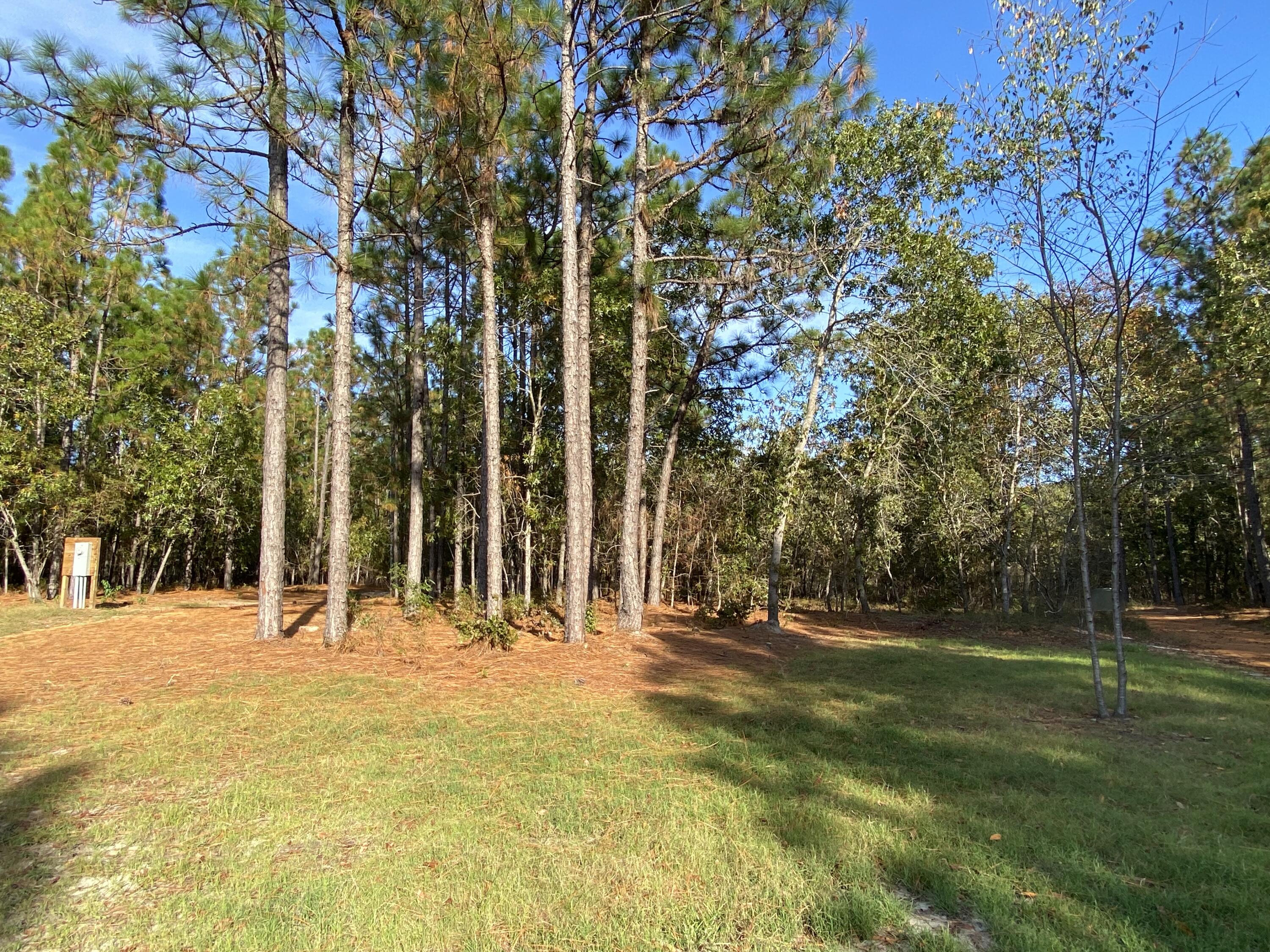 724 Grovers Road Windsor, SC 29856 - Photo 36 of 42