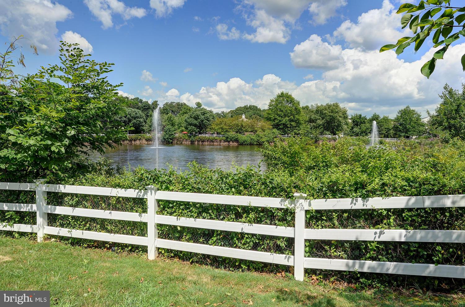 17 Windsor Pond Road Princeton Junction, NJ 08550 - Photo 20 of 20 a view of a garden