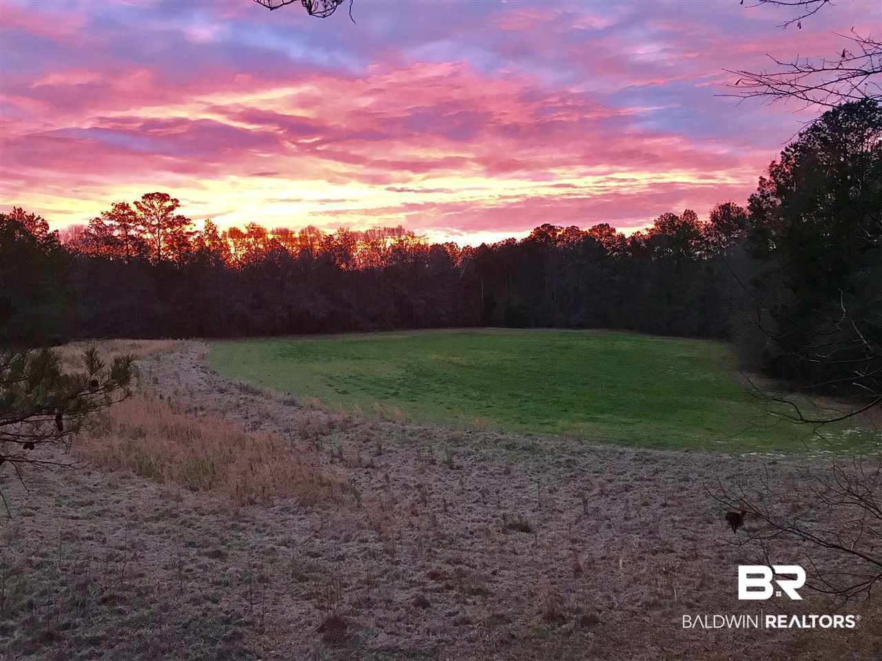 1478 Ridge Road Greenville, AL 36037 - Photo 49 of 50