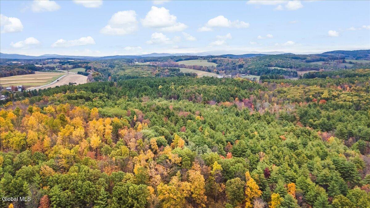 474 Groveside Road Pittstown, NY 12090 - Photo 106 of 133 09-DJI_0025