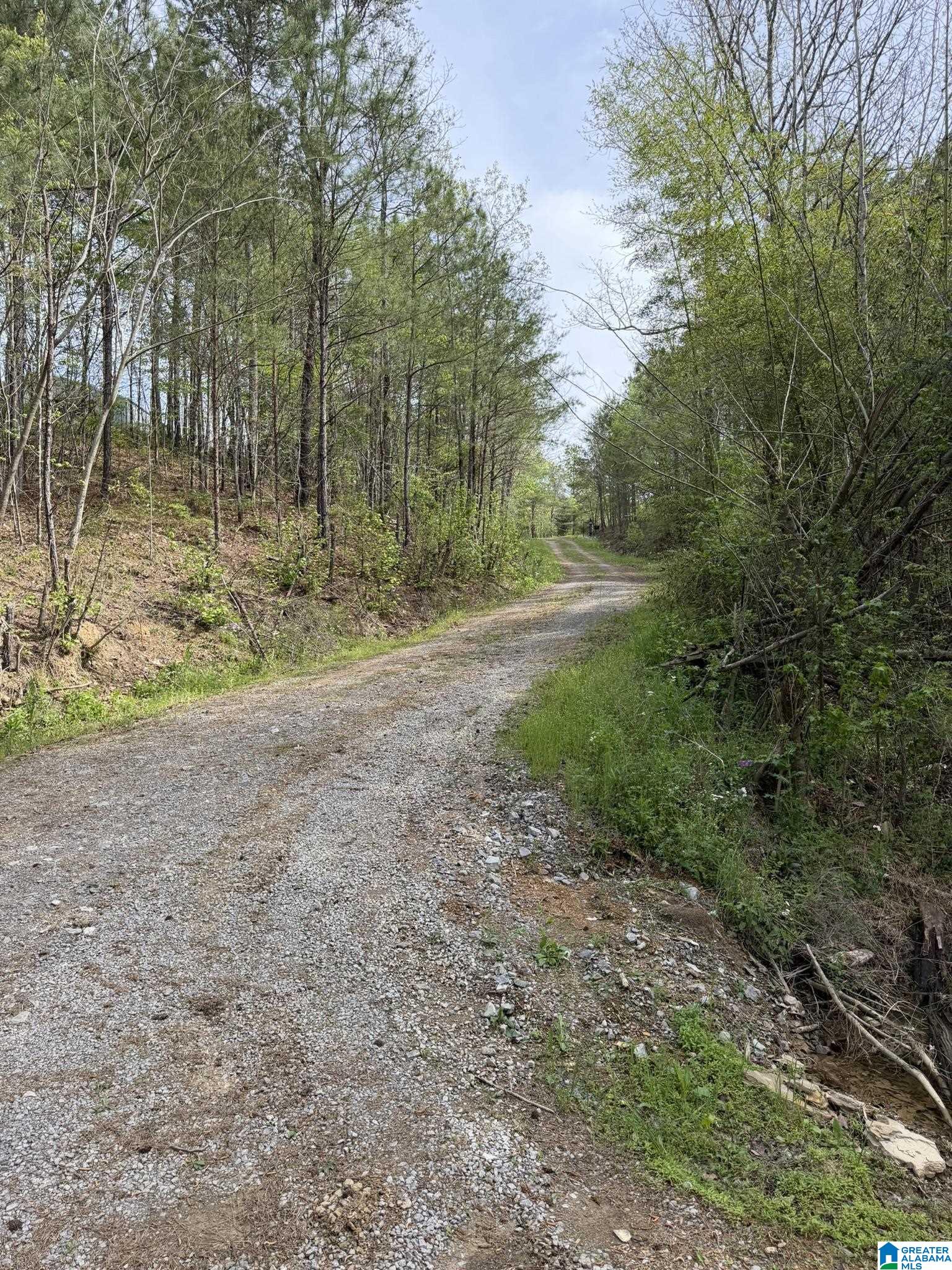 2121 Center Hill Road Trafford, AL 35172 - Photo 72 of 100
