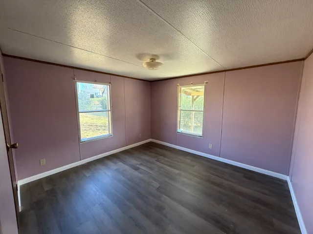 a view of yard with large trees
