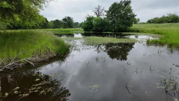 a view of a lake from a yard